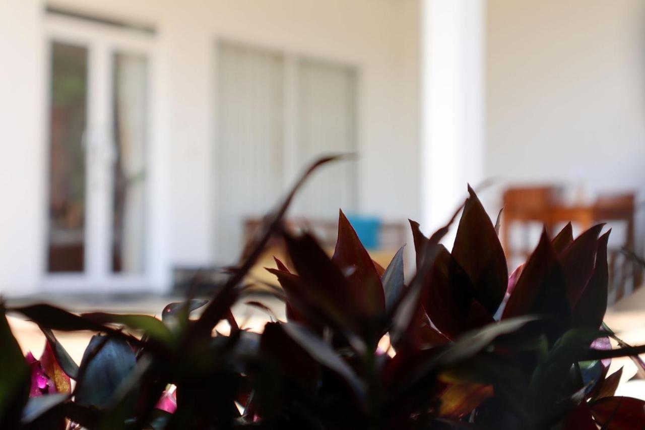 Bed and Breakfast Ella Touch Екстер'єр фото